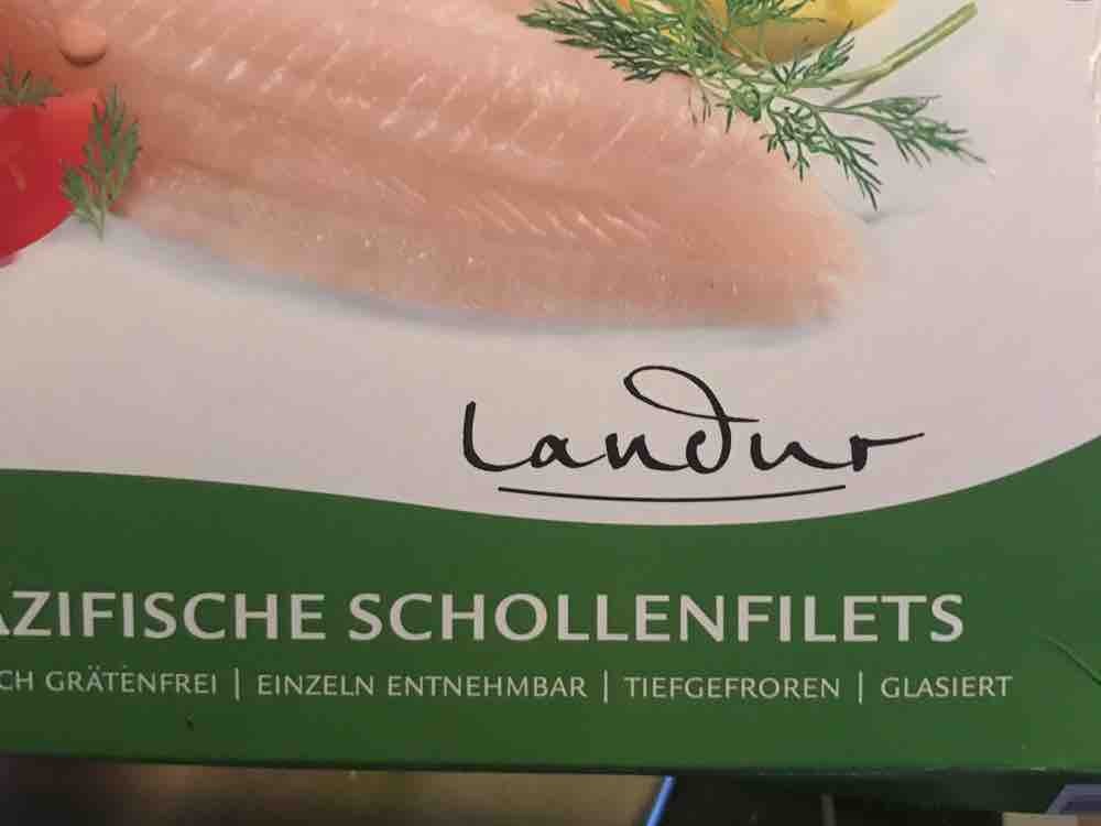 pazifische Schollenfilets von polo3 | Hochgeladen von: polo3 pazifische Schollenfilets von polo3 | Hochgeladen von: polo3