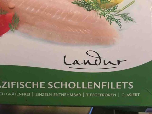 pazifische Schollenfilets von polo3 | Hochgeladen von: polo3