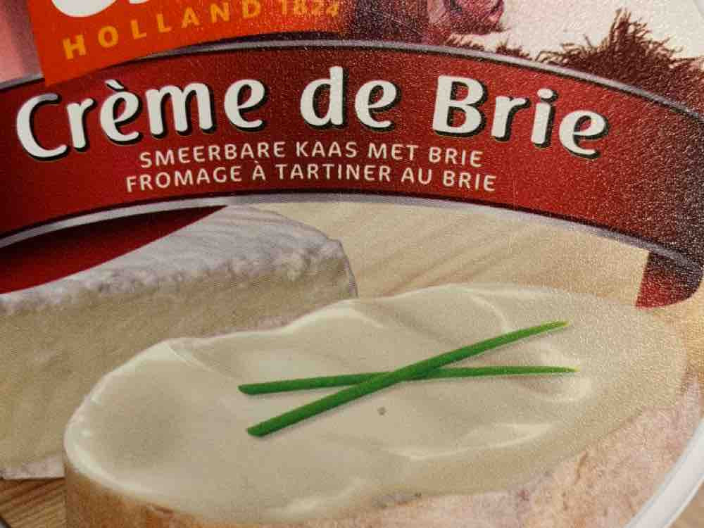 Crème de Brie, Schmierkäse von theelli | Hochgeladen von: theelli