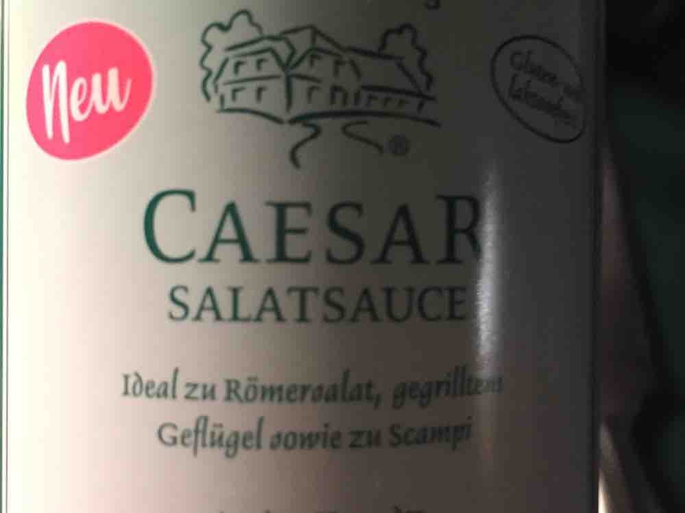 Caesar Salatsauce von Michi0703 | Hochgeladen von: Michi0703