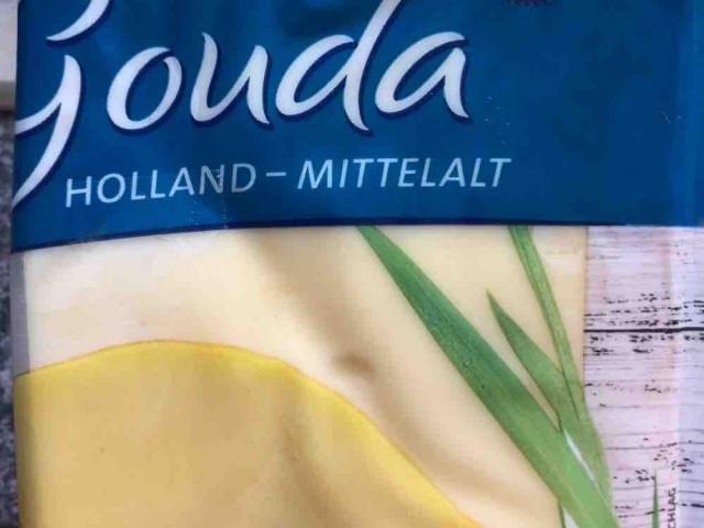 Gouda Holland Mittelalt, g. g. A 48% Fett I. Tr von ChrisXP13 | Hochgeladen von: ChrisXP13