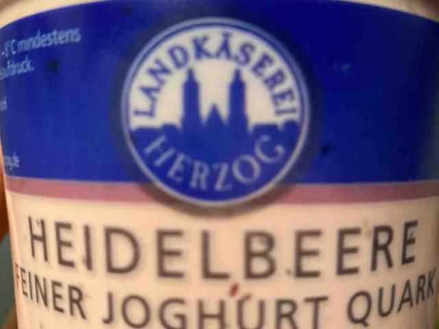 Heidelbeere Feiner Joghurt Quark von Russi | Hochgeladen von: Russi