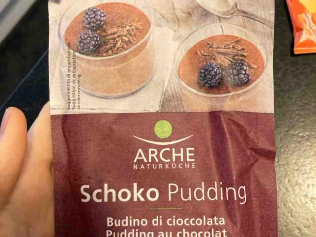 Schoko Pudding von Annashifter111 | Hochgeladen von: Annashifter111