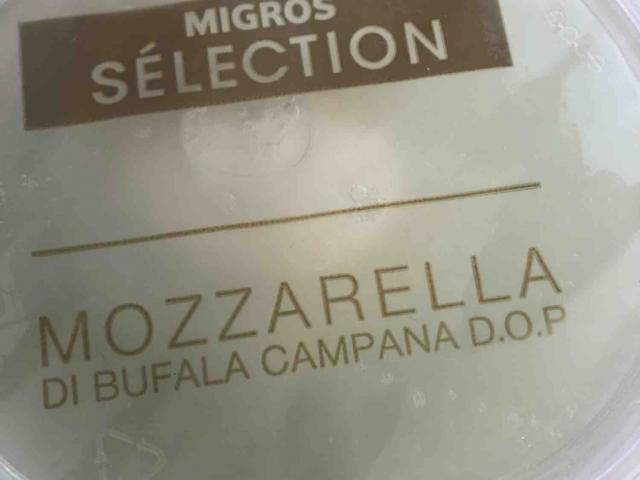 Mozzarella di Bufala Campana - Sélection, Mozzarella von kim22st | Hochgeladen von: kim22st