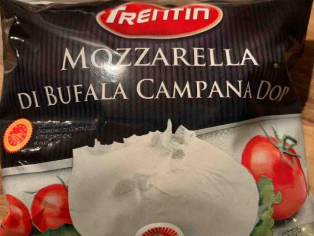 Mozzarella di bufale campana von Huggi | Hochgeladen von: Huggi