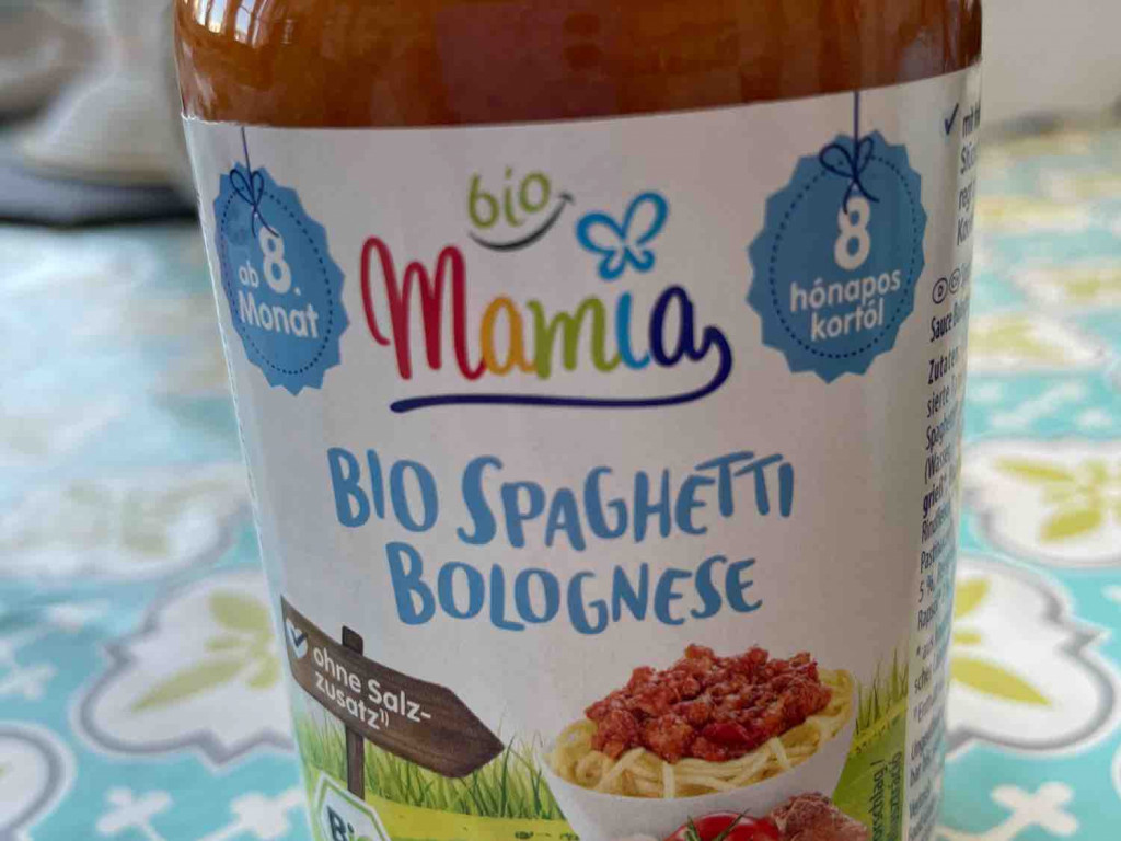 Bio Spaghetti Bolognese von alrach | Hochgeladen von: alrach
