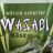 Wasabi Käse | Hochgeladen von: huhn2