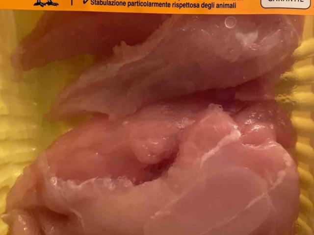 Poulet Mini  Filet von Naedl | Hochgeladen von: Naedl