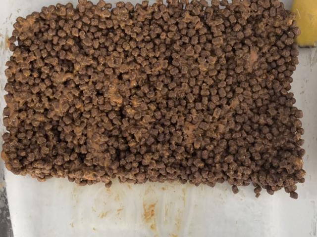 Hochgeladen von: Sharlie