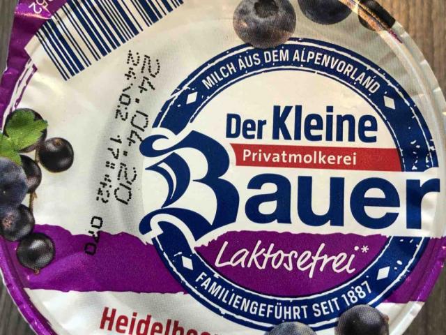 Bauer Joghurt Heidelbeere-Cassis Laktosefrei von PBP | Hochgeladen von: PBP