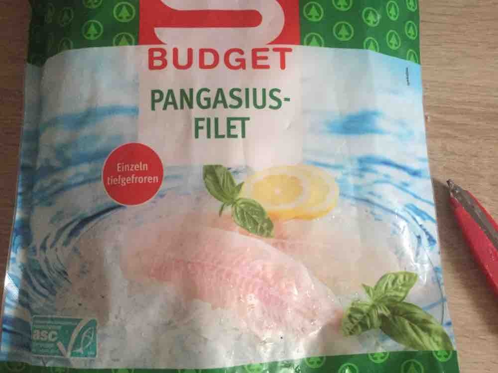 S Budget Pangasius Filet von VladimirKlymovsky | Hochgeladen von: VladimirKlymovsky