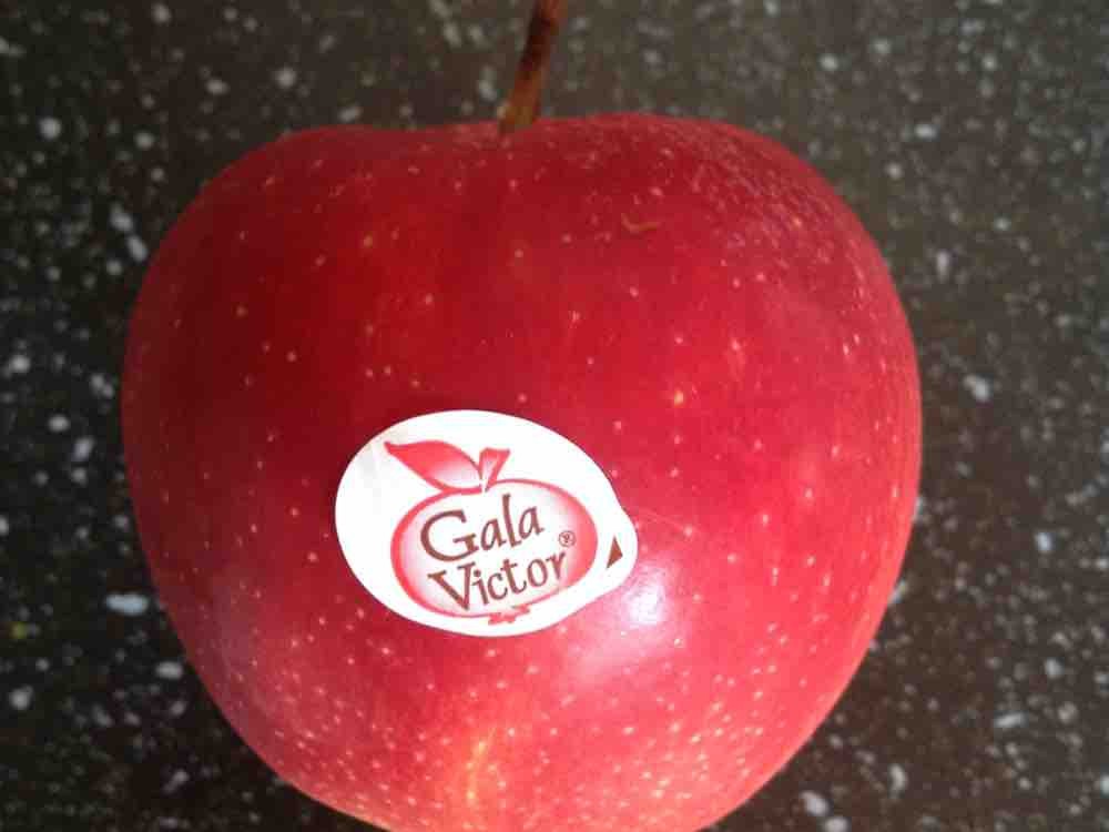 Apfel Äpfel Gala Victor von schtinii | Hochgeladen von: schtinii