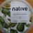 native   Guacamole, 95%  fresh Guacamole  | Hochgeladen von: lgnt