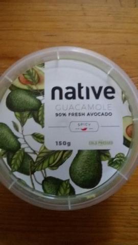native   Guacamole, 95%  fresh Guacamole  | Hochgeladen von: lgnt