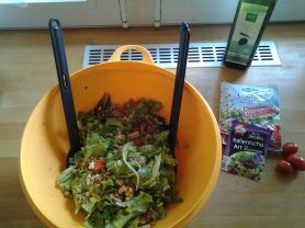 Gemischter Salat IV mit Mozzarella und Fleischwu | Hochgeladen von: ohne.Points.abnehmen
