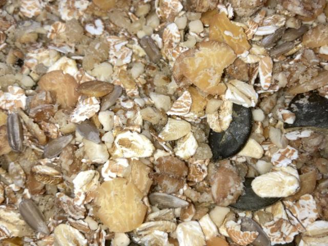 Hochgeladen von: Gonner