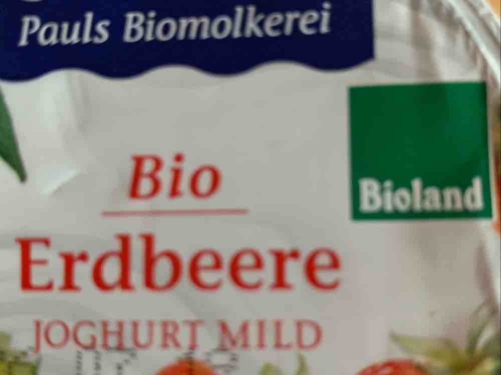 Bio-Joghurt mild Erdbeere, 3,8% Fett von andykrause | Hochgeladen von: andykrause