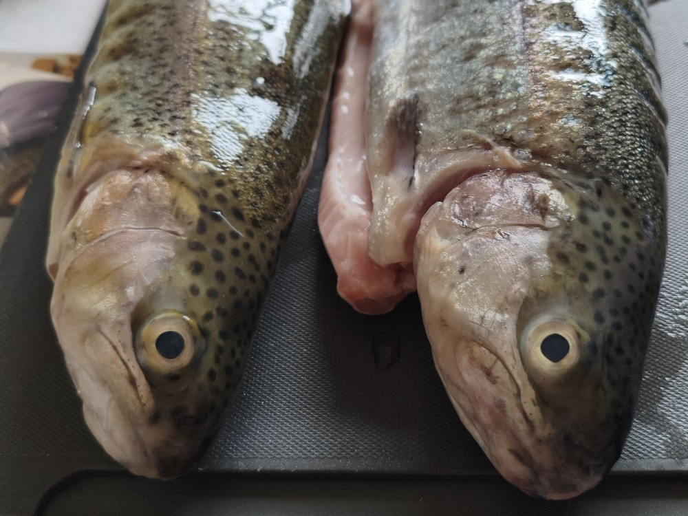 Hochgeladen von: Loni1986