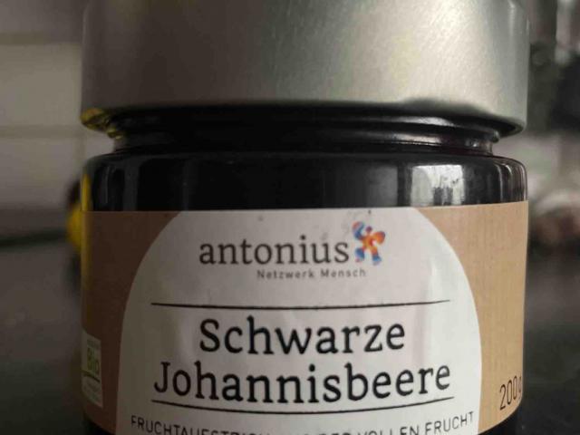 Schwarze Johannisbeere, Fruchtaufstricj von Duddijo | Hochgeladen von: Duddijo