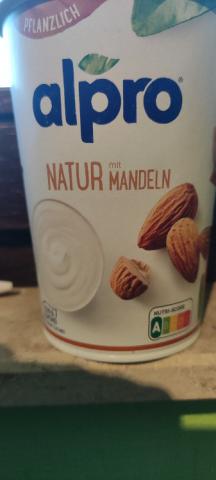Mandel Jogurt Natur, Alpro Vegan von DanVor | Hochgeladen von: DanVor