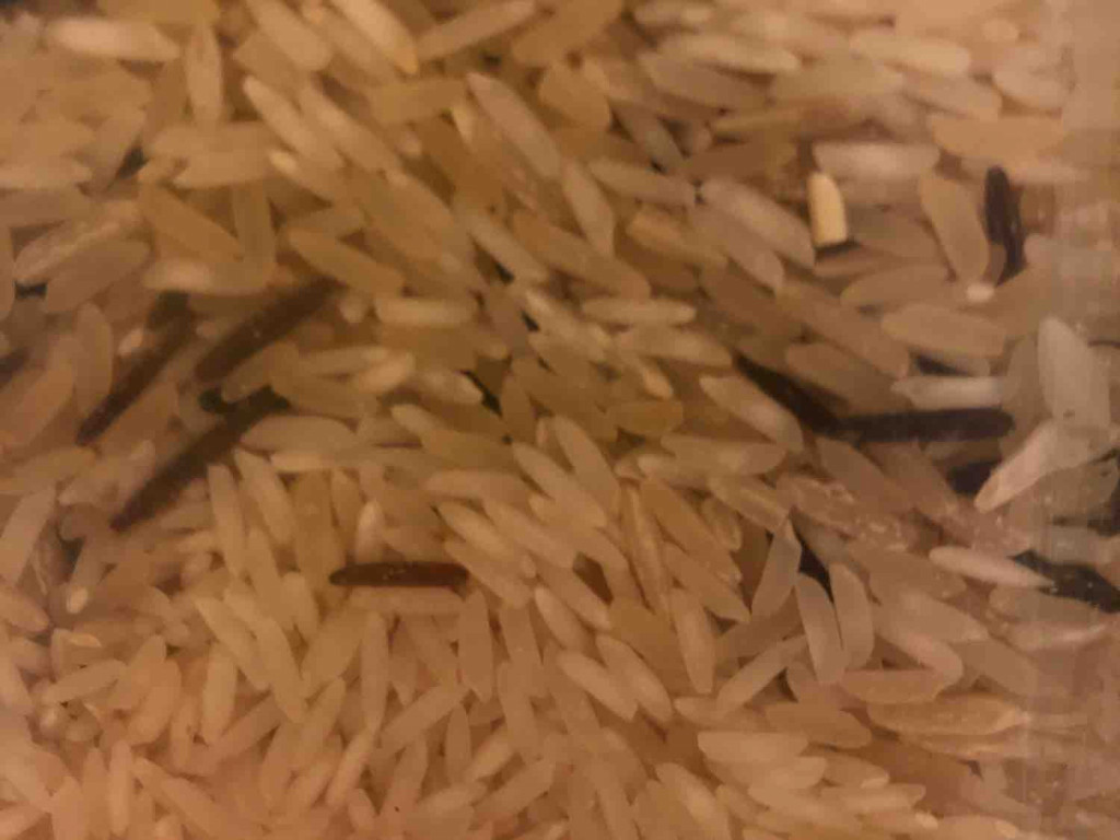 Basmati Reis (ungekocht) von ArtiFin | Hochgeladen von: ArtiFin
