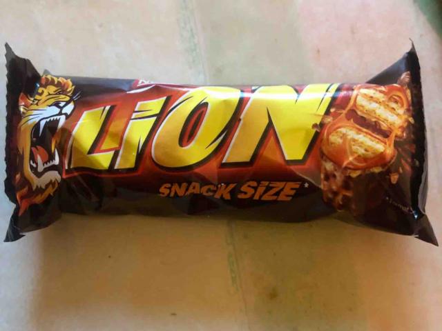 Lion Snack size von Chris2020 | Hochgeladen von: Chris2020