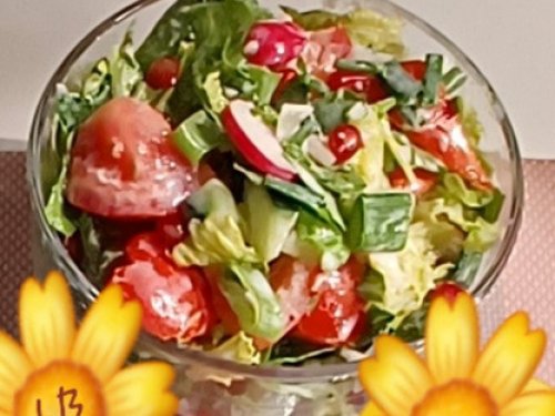 Mix Salat Romana in Joghurt Chilidressing | Hochgeladen von: Muckelchen2407