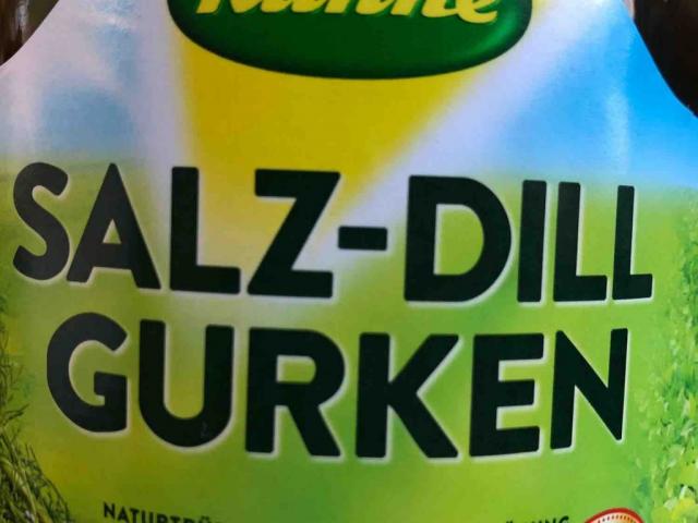 Salz-Dill Gurken, saure Gurken by angel28 | Uploaded by: angel28