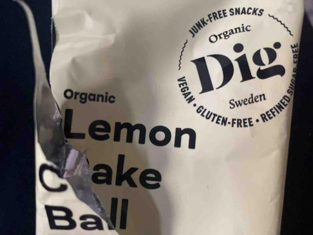 Lemon Cake Ball, Organic & Gluten Free Baby by BenjaminElefa | Uploaded by: BenjaminElefant