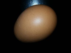 Eier aus Freilandhaltung | Hochgeladen von: Misio