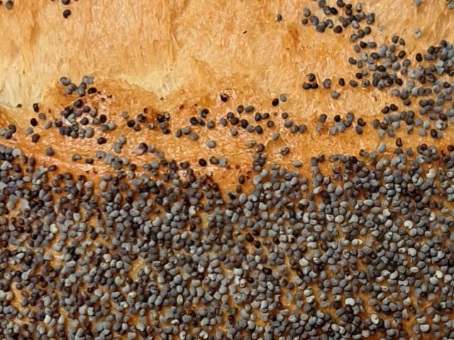 Hochgeladen von: mgyr394