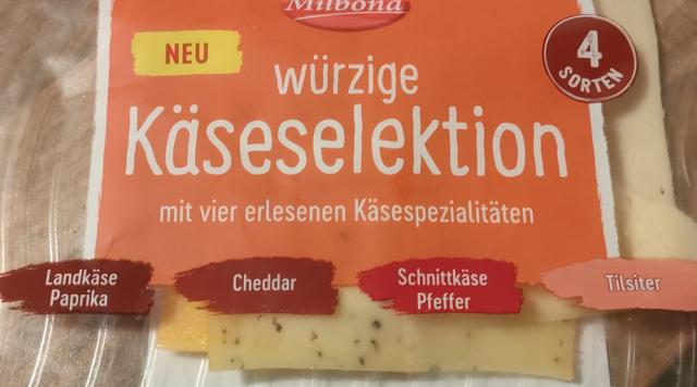 Cheddar, würzige Käseselektion by Diddy263 | Uploaded by: Diddy263