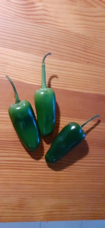 Jalapeno, grün von Sahel | Hochgeladen von: Sahel