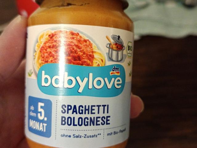 babylove Spaghetti Bolognese von Tomekk2312 | Hochgeladen von: Tomekk2312