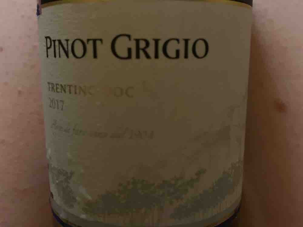 Pinot Grigio, Wein von Sabine Hoffmann | Hochgeladen von: Sabine Hoffmann