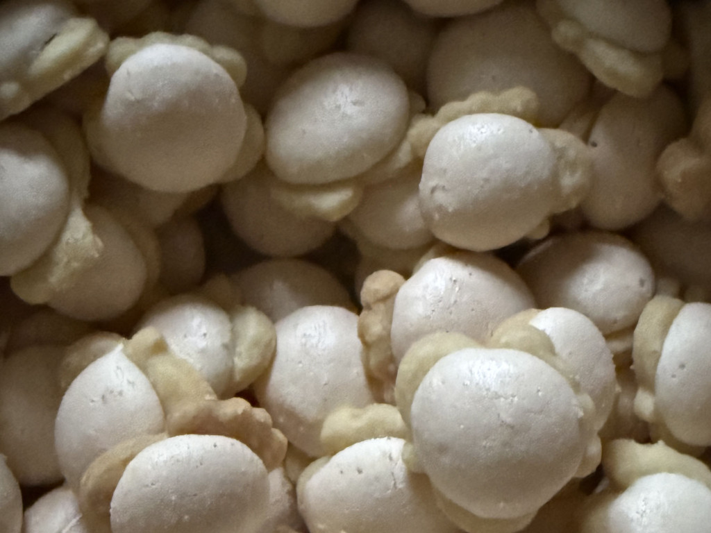 Hochgeladen von: Seele