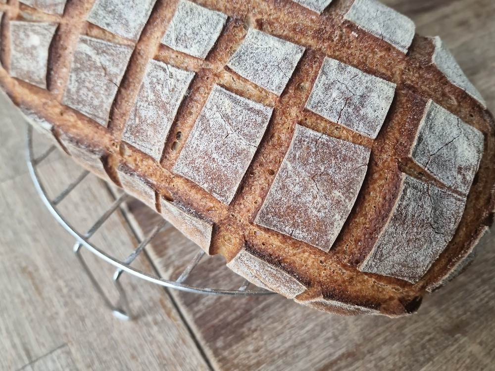 Hochgeladen von: MichelleRuggi Hochgeladen von: MichelleRuggi