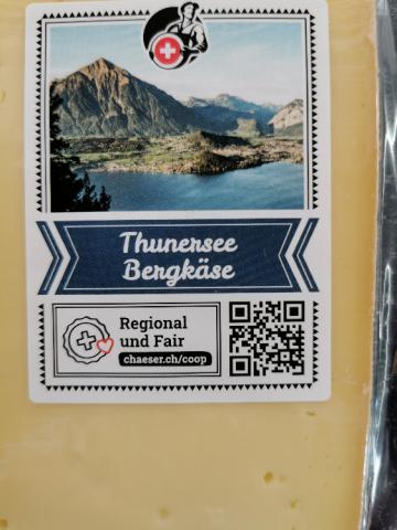 Thunersee Bergkäse von schtinii | Hochgeladen von: schtinii