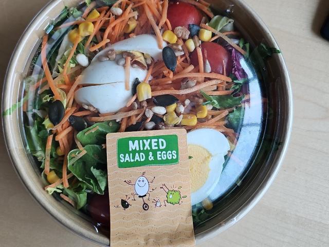 Hochgeladen von: Susanna Fischer