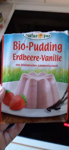 Bio-Pudding Erdbeer-Vanille von Sabsi.Loool | Hochgeladen von: Sabsi.Loool