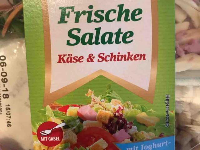 Salat Käse und Schinken von brandonreed126 | Hochgeladen von: brandonreed126