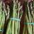 Spargel, Grün by Tokki | Hochgeladen von: Tokki