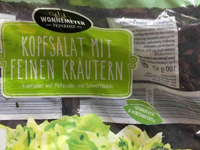 Kopfsalat mit feinen Kräutern von uuuih | Hochgeladen von: uuuih