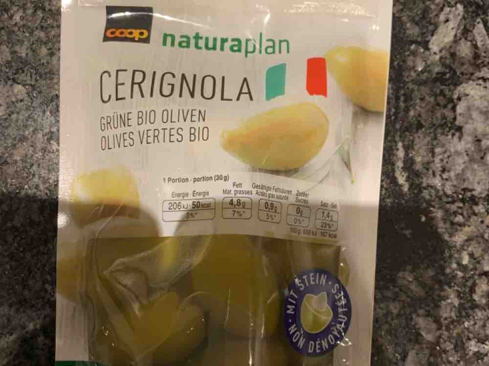 cerignola oliven, grüne  bio Oliven von brockmeierbeate402 | Hochgeladen von: brockmeierbeate402