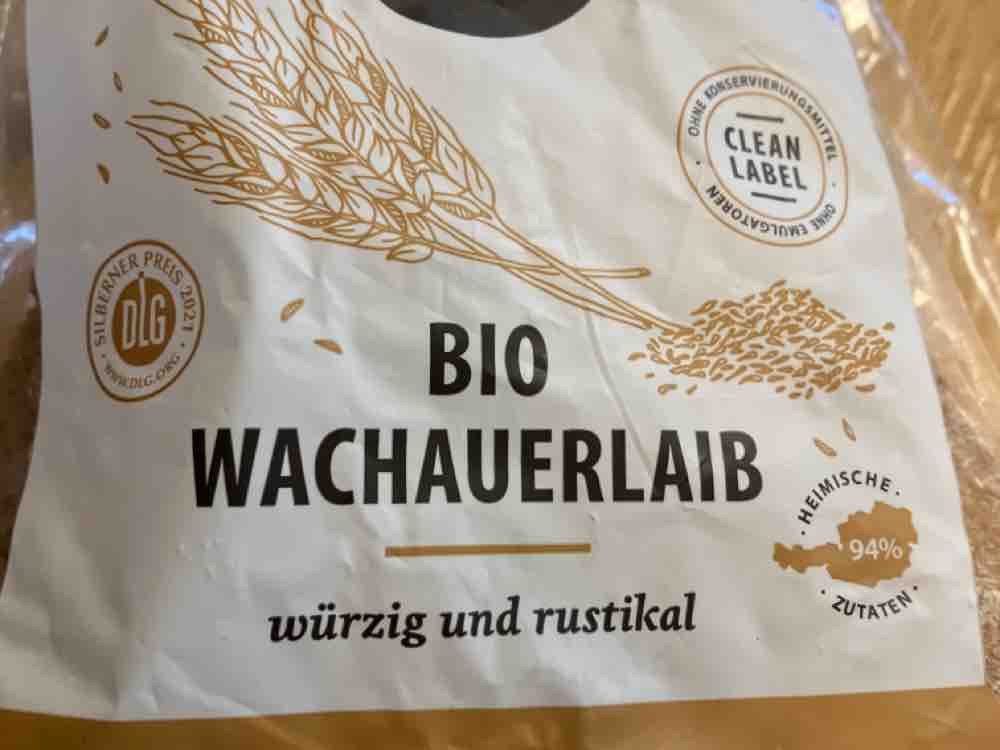 Bio Wachauerlaib Brot, Weizenmischbrot von petrastranger | Hochgeladen von: petrastranger