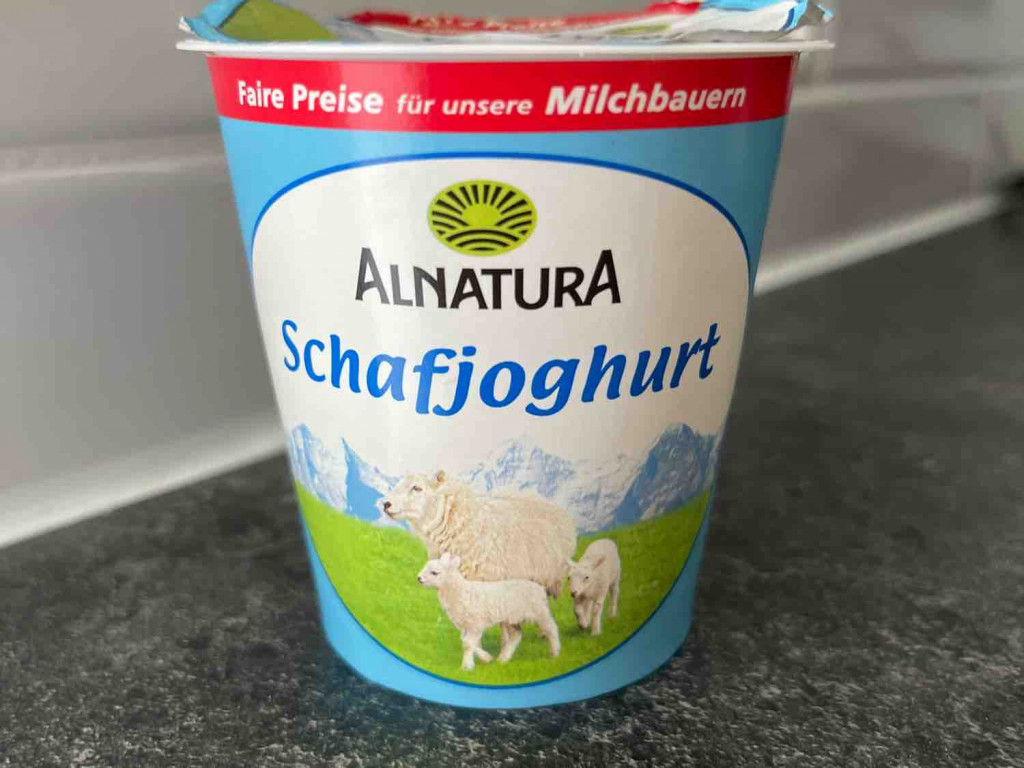 Schafjoghurt by ipony | Hochgeladen von: ipony