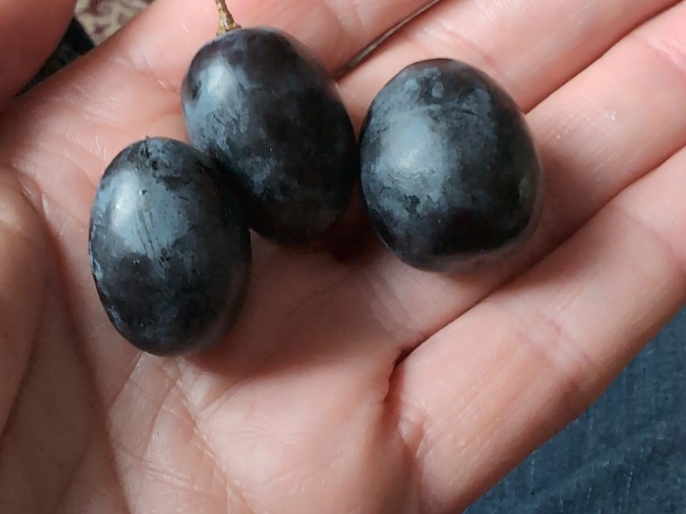 Hochgeladen von: hexen