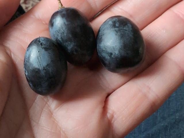 Hochgeladen von: hexen Hochgeladen von: hexen