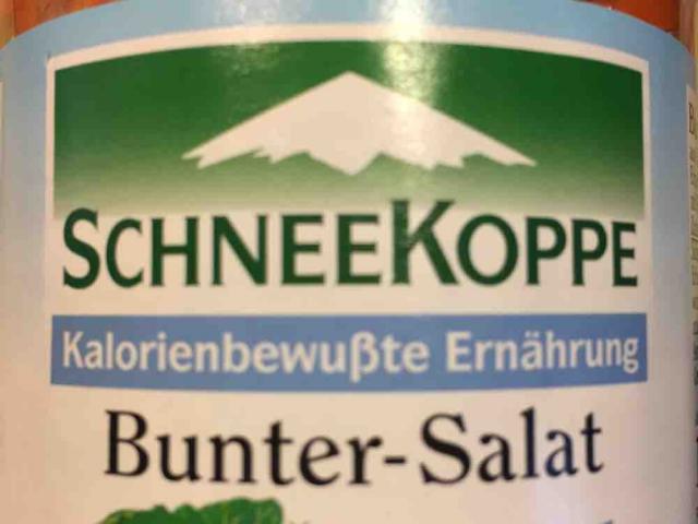 Schneekoppe Bunter Salat  von JezziKa | Hochgeladen von: JezziKa