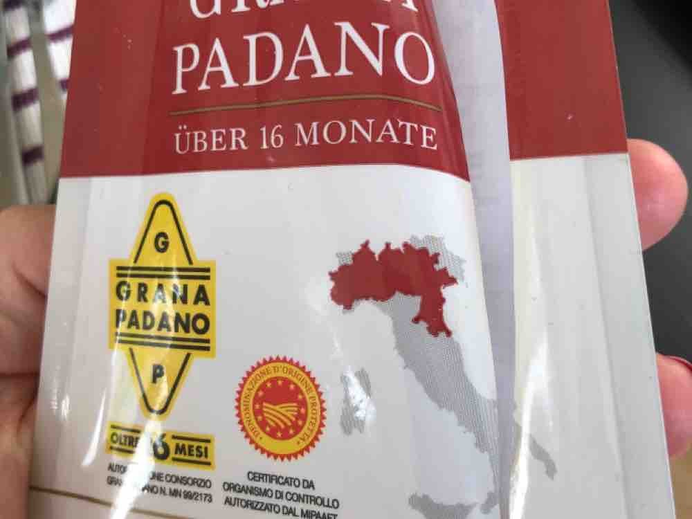 Grana Padano italienischer Hartkäse, 16 Monate gereift von think | Hochgeladen von: thinkerbell